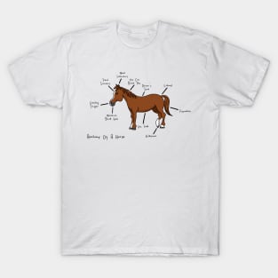 Anatomy of a Horse T-Shirt